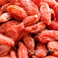 Fresh Organic goji berries wolfberries kering untuk dijual